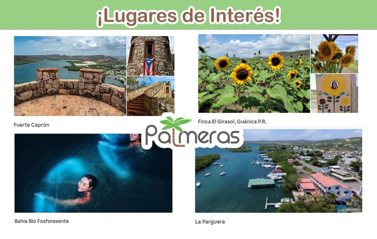 Palmeras Beach Apartments - Playa Santa Guanica Buitenkant foto