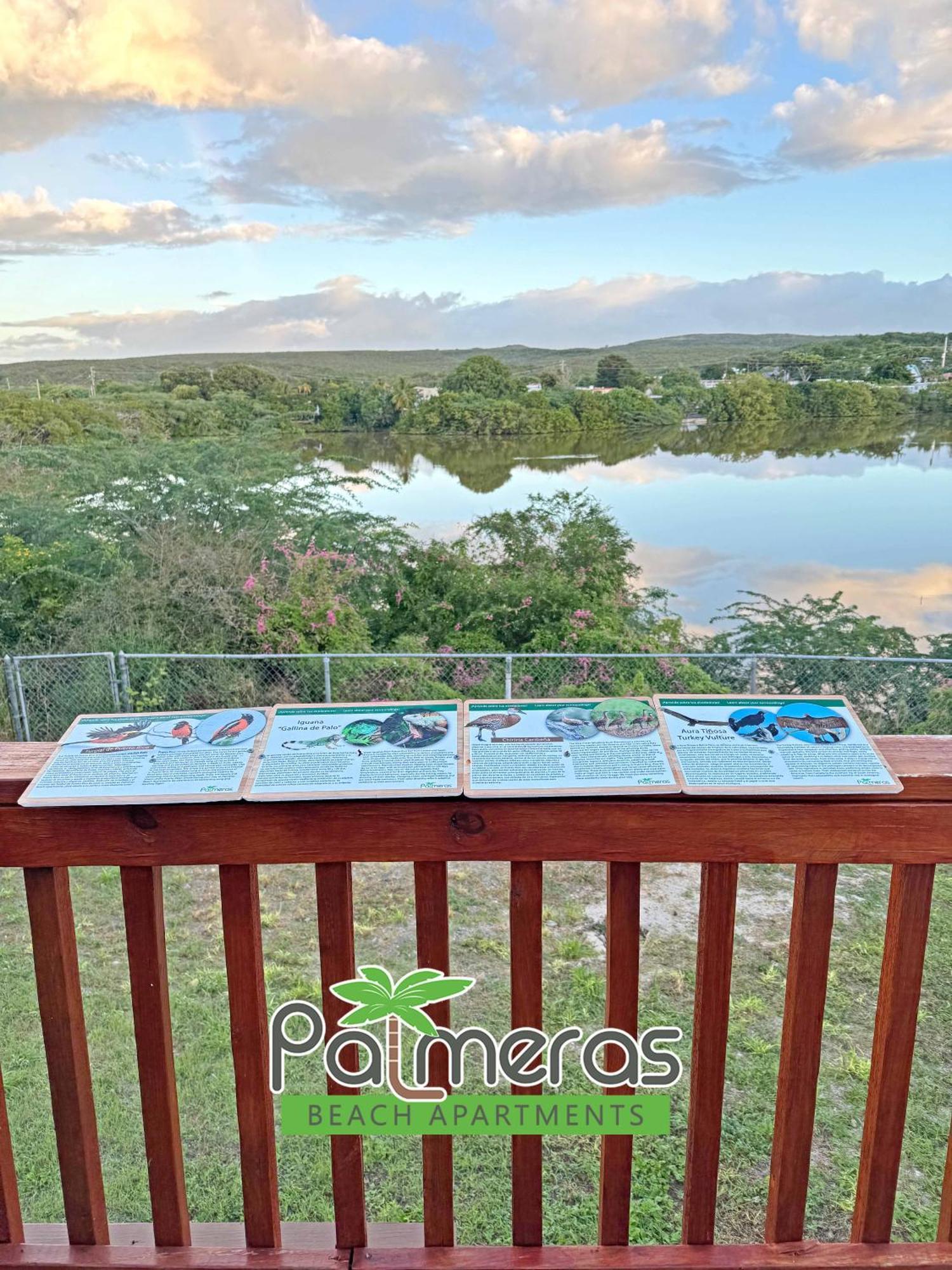 Palmeras Beach Apartments - Playa Santa Guanica Kamer foto
